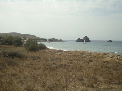 DSC01009
