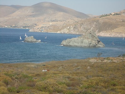 DSC01024