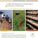 anemoessa terra lemnia 1