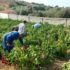 Νευροχειρουργός για μια ημέρα στο Νοσοκομείο Λήμνου – φωτογραφία 2