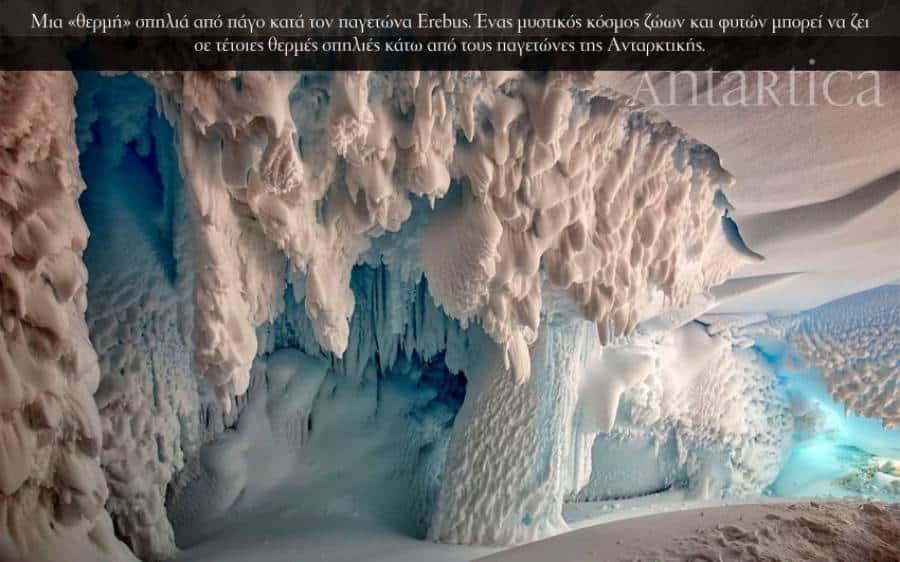 Antarctica