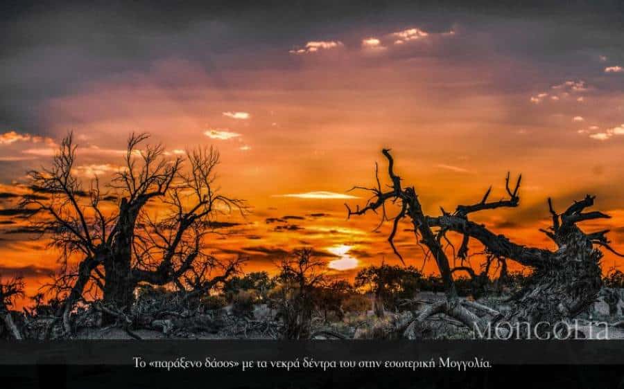 Mongolia