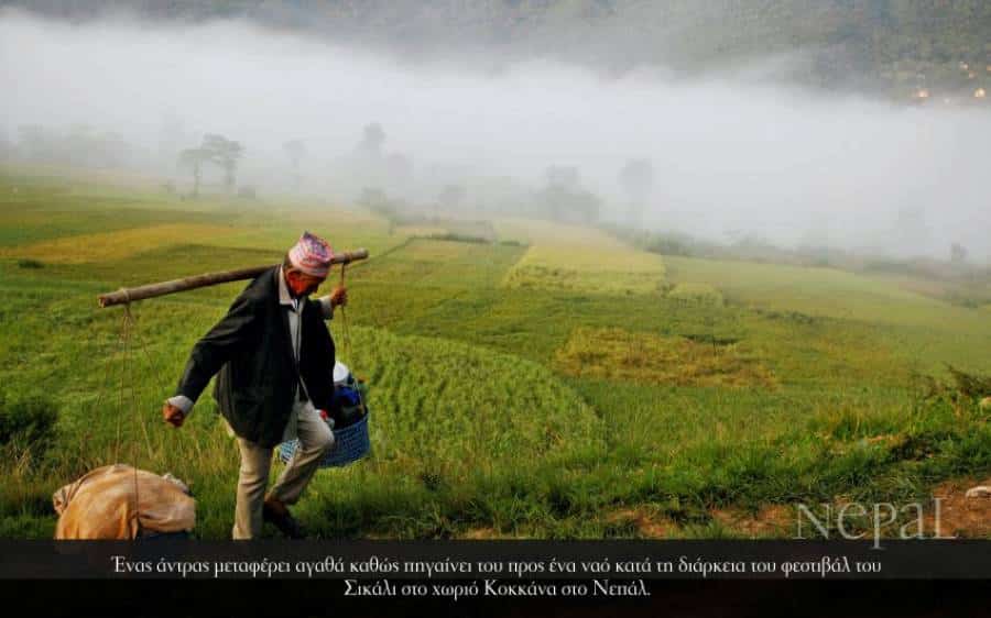 Nepal