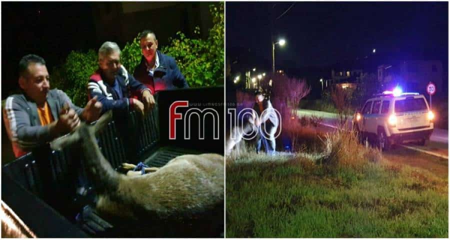 Λήμνος – Συμβαίνει τώρα: Αυτοκίνητο συγκρούστηκε με πλατώνι (photos)