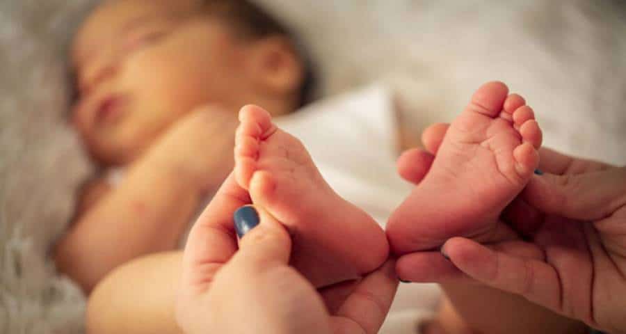 Έφτασαν τα 200 τα μωράκια της «HOPEgenesis»!