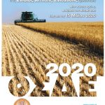 OSDE AFISA 2020 FINAL