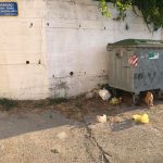 kallithea skoupidia
