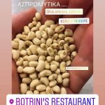 salamousas agrifood botrinis restaurant