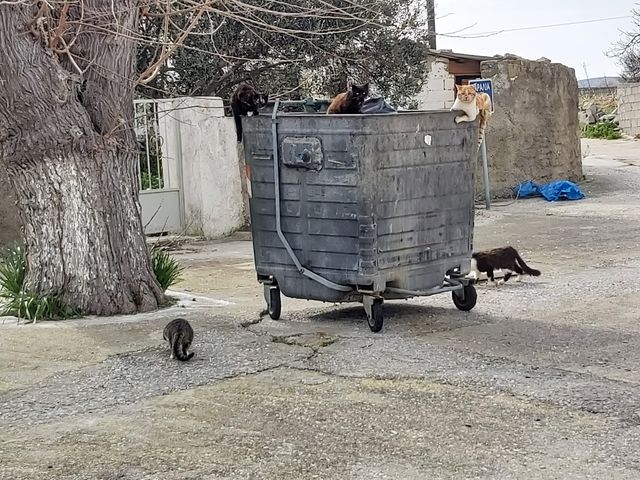 «Καλοί οι υπόγειοι κάδοι στη Μύρινα. Στα χωριά όμως τι γίνεται;»