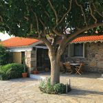 OLON Estate Lemnos 5