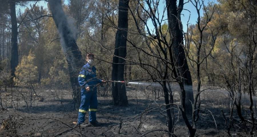 Φωτιά στα Βίλια: Καλύτερη η εικόνα του πύρινου μετώπου | Μάχη με τις αναζωπυρώσεις