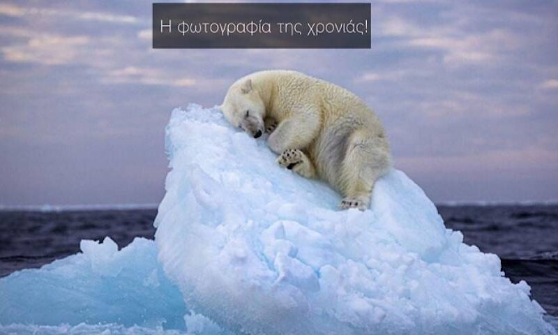 Η φωτογραφία που κέρδισε το βραβείο Φωτογράφου της Χρονιάς People’s Choice Award.