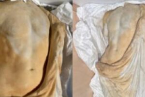 Επαναπατρίστηκαν στην Ελλάδα 26 αρχαία αντικείμενα από το Στέιτ Ντιπάρτμεντ | Είχαν κατασχεθεί στις ΗΠΑ