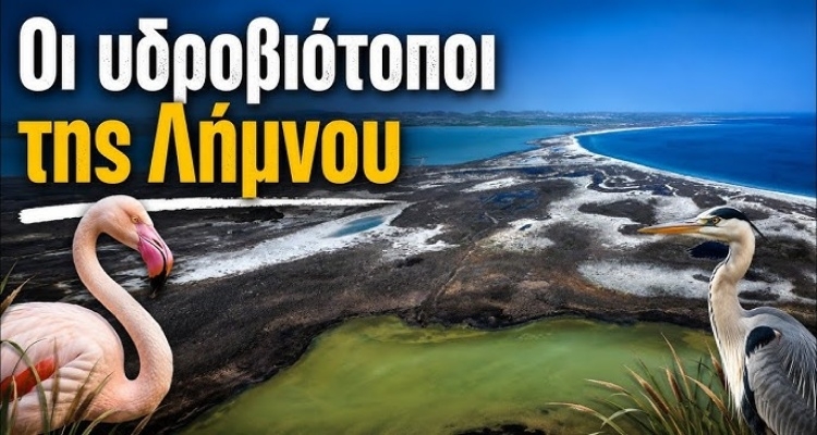Λήμνος: Ένα μοναδικό οδοιπορικό στους προστατευόμενους υδροβιότοπους του νησιού μέσα από το YouTube