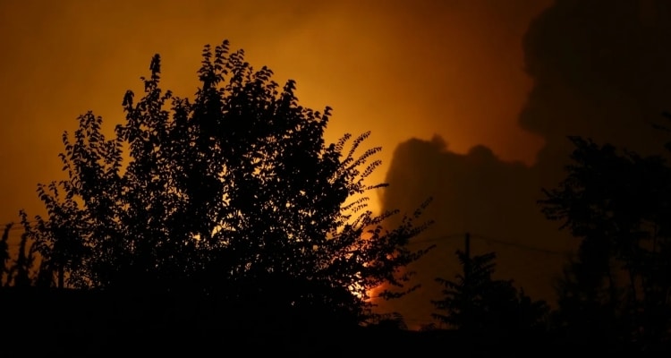 Πώς ο κοινοτάρχης της Μεσσηνίας εκβίαζε συγχωριανούς του για το πότισμα και τους έκαιγε τα κτήματα | Τούς έκλεβε και επιδοτήσεις ΟΠΕΚΕΠΕ