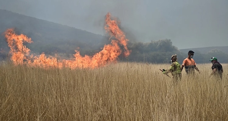 Εκκενώνεται το Πόρτο Γερμενό: Απομακρύνθηκαν 229 πολίτες με πλωτά σκάφη -«Μπαράζ» 112 στο Ρέθυμνο, τα υπόλοιπα μέτωπα