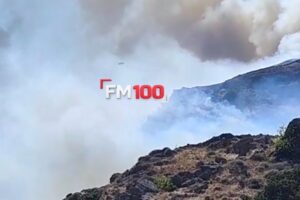 Υπό έλεγχο η φωτιά στο Θάνος | Μεγάλες ζημιές σε αποθήκες, μάντρες και καλλιέργειες | Εκατοντάδες λουόμενοι απομακρύνθηκαν με ασφάλεια από την παραλία
