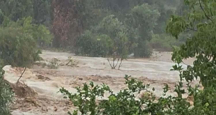 «Πρωτοφανές φαινόμενο»: Ζημιές σε σπίτια στη Μάνη από τις καταρρακτώδεις βροχές | Παρασύρθηκαν αυτοκίνητα, καταστροφές στο οδικό δίκτυο