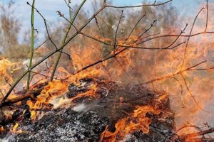 Λήμνος: Πρόστιμο 2.187 ευρώ σε 80χρονο που επέμενε να καίει χόρτα παρά την προειδοποίηση της Πυροσβεστικής