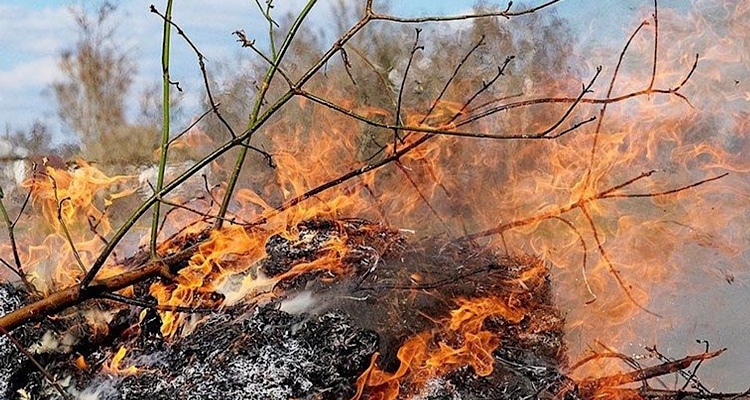 Λήμνος: Πρόστιμο 2.187 ευρώ σε 80χρονο που επέμενε να καίει χόρτα παρά την προειδοποίηση της Πυροσβεστικής