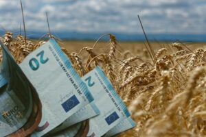 Κίνδυνος απώλειας αγροτικών ενισχύσεων από λάθη του Κτηματολογίου σε Λέσβο και Χίο