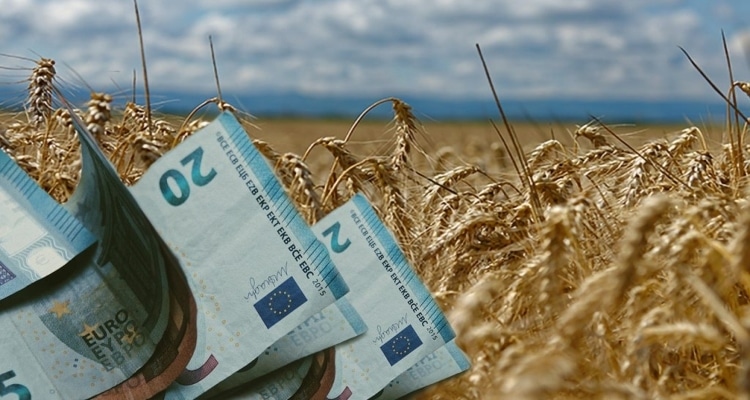 Κίνδυνος απώλειας αγροτικών ενισχύσεων από λάθη του Κτηματολογίου σε Λέσβο και Χίο