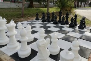 Δημήτριος Μαλισσιόβας και Αρετή Κουντούρη-Ανασιούτη από το Γυμνάσιο και Γ.Ε.Λ Μούδρου στην κορυφή της Ελλάδας στις «Γέφυρες Σκακιού»