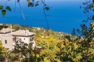 Λίγες ώρες ακόμα για τις αιτήσεις στο Thessaly Evros Pass 2026