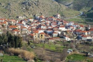 Δήμος Λήμνου: Έκκληση στους ιδιοκτήτες σκύλων στο Θάνος για την αποτροπή επιθέσεων σε παραγωγικά ζώα