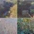 Στη Λήμνο στις 23/10 Δουδωνής, Κατρίνης και Μπόλαρης – φωτογραφία 1