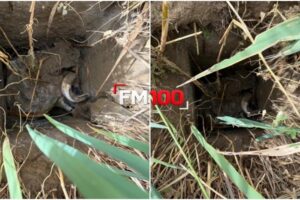 Καταγγελία στον FM100 για ακάλυπτο βόθρο-παγίδα στην Ατσική Λήμνου