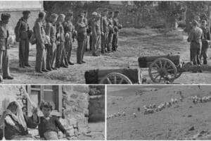 Σπάνια φωτογραφικά ντοκουμέντα από τη γερμανική κατοχή στη Λήμνο | 82 χρόνια από την Απελευθέρωση του νησιού