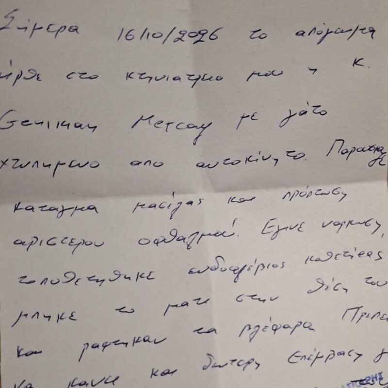 Μύρινα: Έκκληση για βοήθεια από γυναίκα που ανέλαβε να σώσει αδέσποτο γατάκι χτυπημένο από αυτοκίνητο – φωτογραφία 1