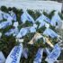 Στη Λήμνο το 54ο Πανελλήνιο Νοσηλευτικό Συνέδριο – φωτογραφία 2
