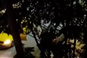 «Ακούω ένα κρατς στο αυτί μου και ήταν το κομμάτι που κόπηκε»: Σοκάρει η περιγραφή της οδηγού ταξί για την επίθεση στη Νέα Ιωνία