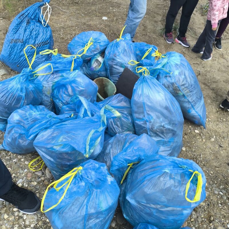 Παραλία Κότσινα: Μικροί εθελοντές από Άγιο Δημήτριο και Ν. Κούταλη έστειλαν μεγάλο μήνυμα για την προστασία των θαλασσών μας – φωτογραφία 6